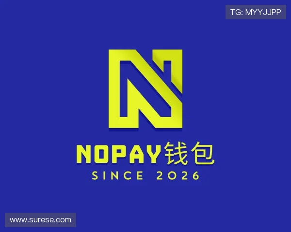 发现NOPAY钱包