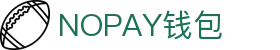 NOPAY钱包 - 数字钱包支付平台|安全便捷的移动支付